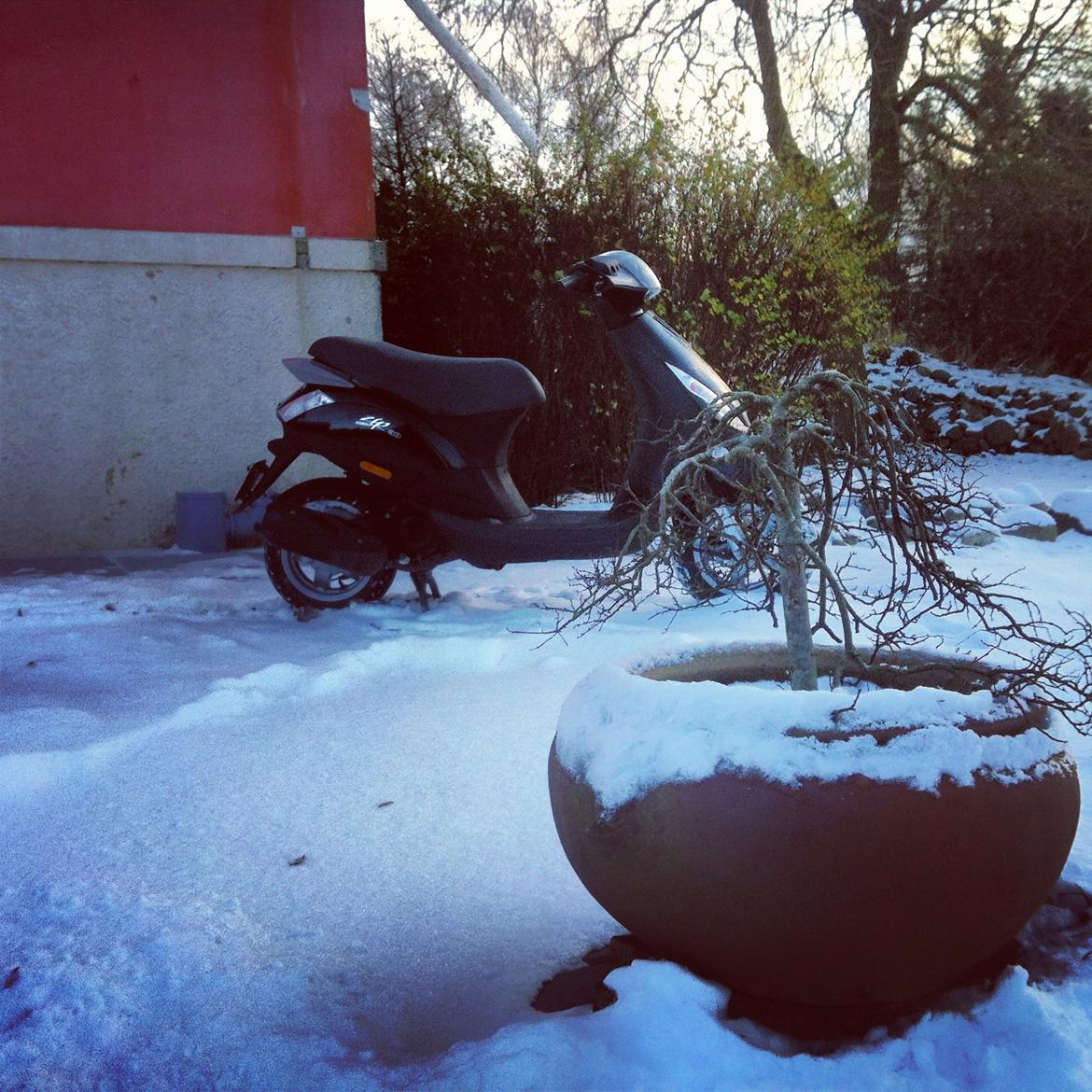 Piaggio new zip 4t billede 16