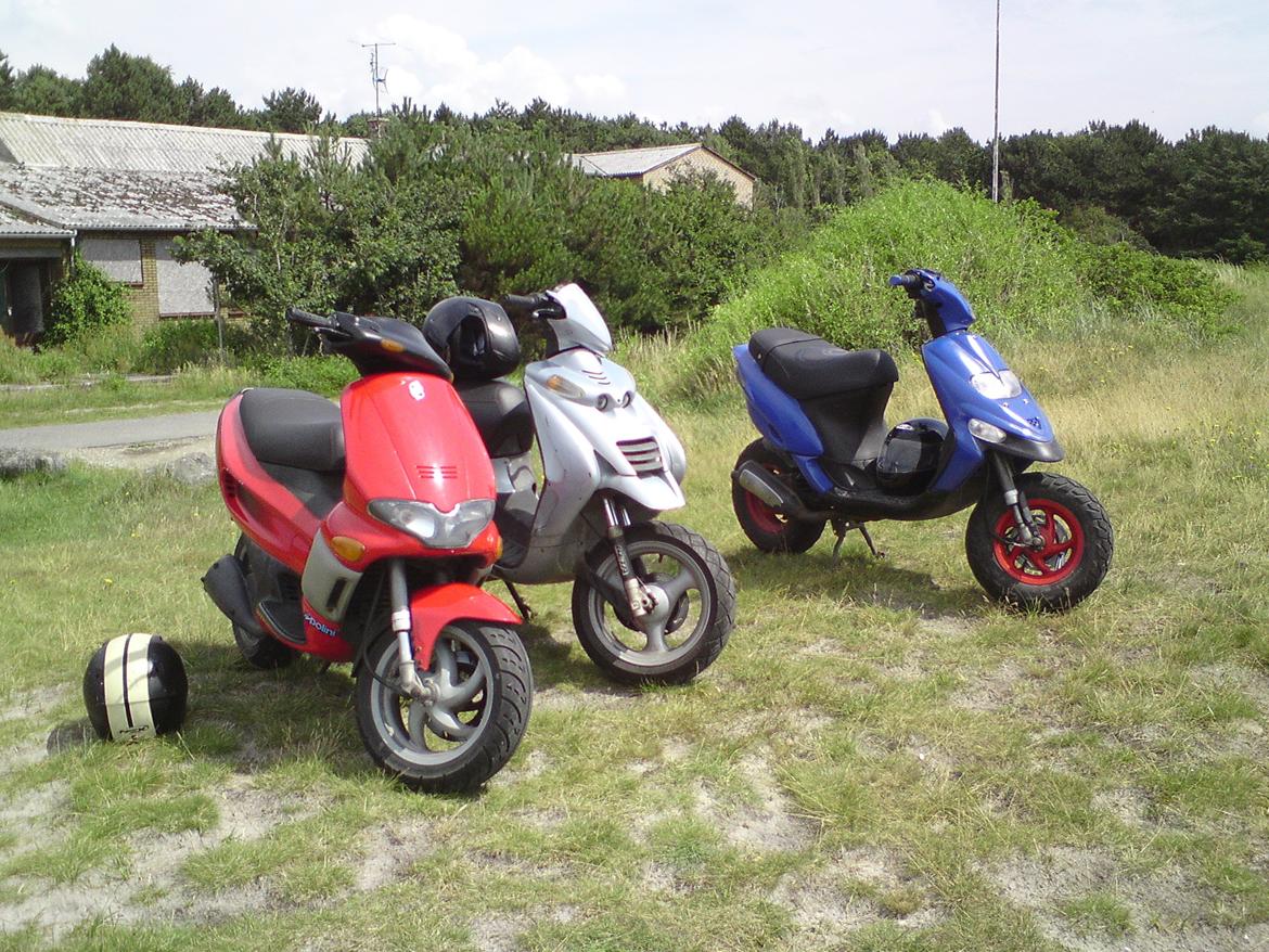 Beta Ark LC billede 6