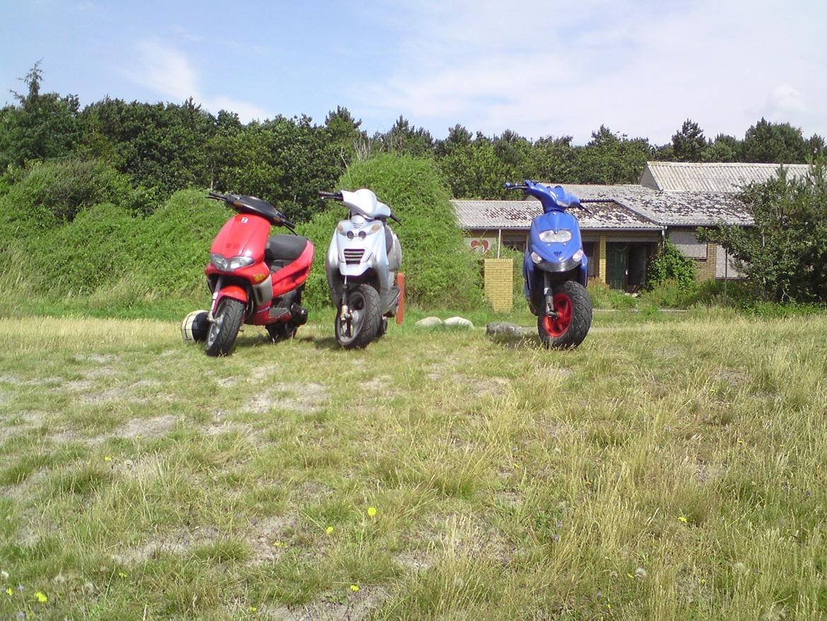 Beta Ark LC billede 7