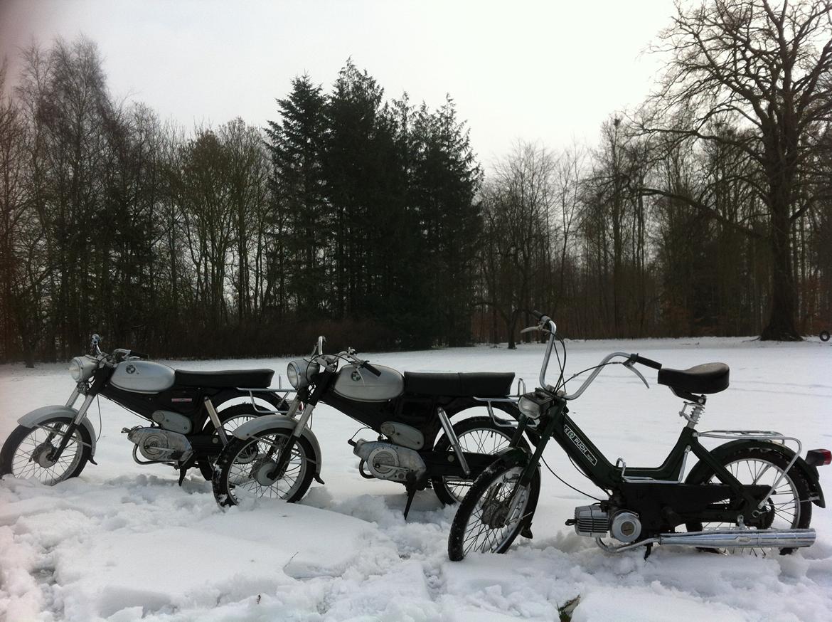 Puch VZ50 billede 13