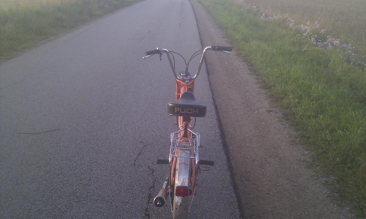Puch Maxi k billede 6