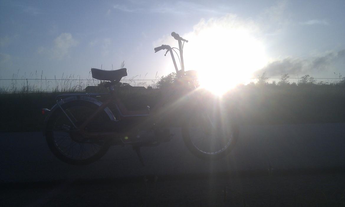 Puch Maxi k billede 8