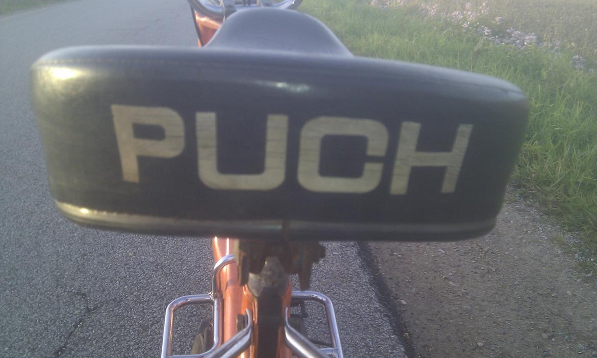 Puch Maxi k billede 10