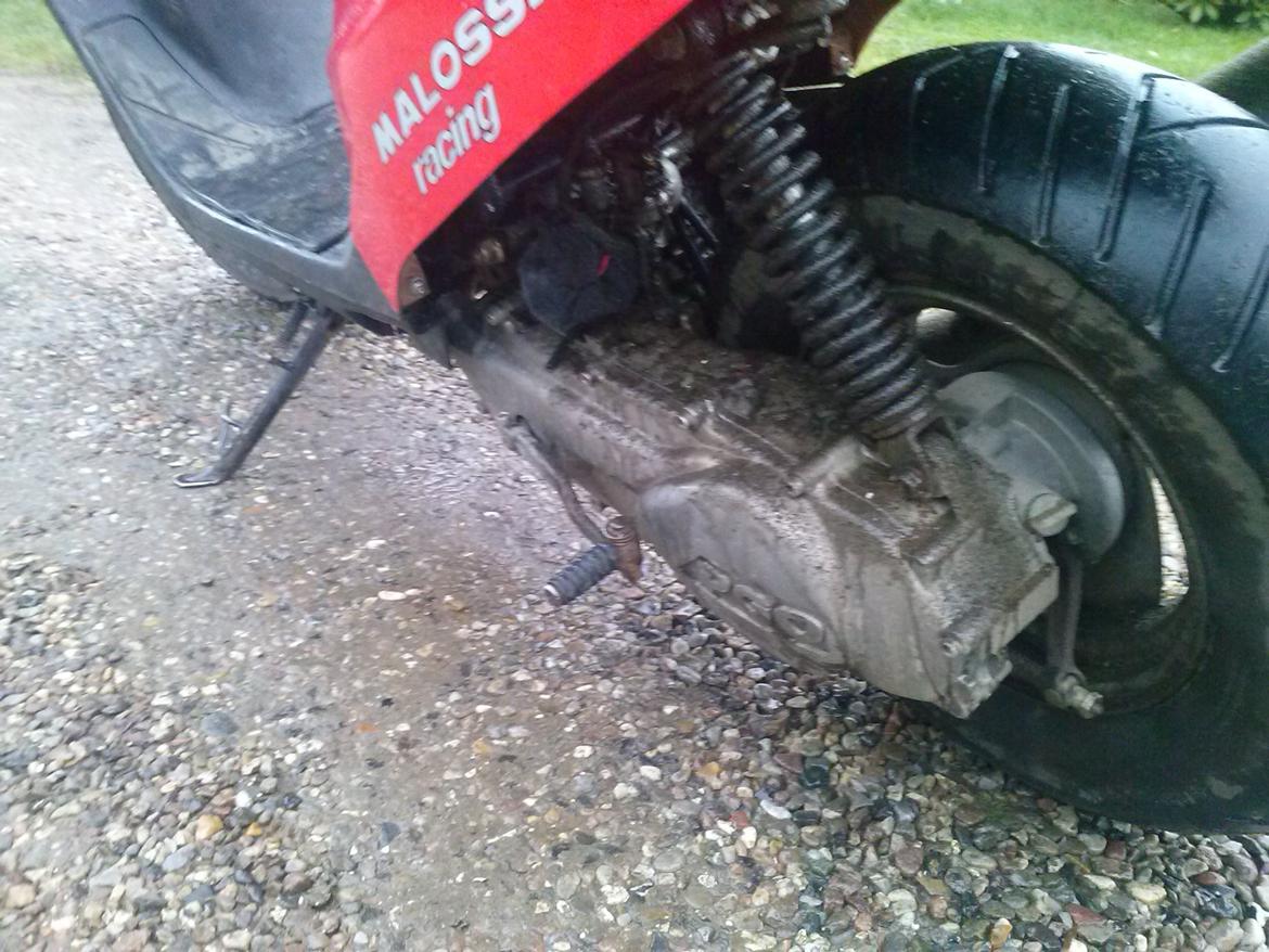 PGO hot 50 billede 2