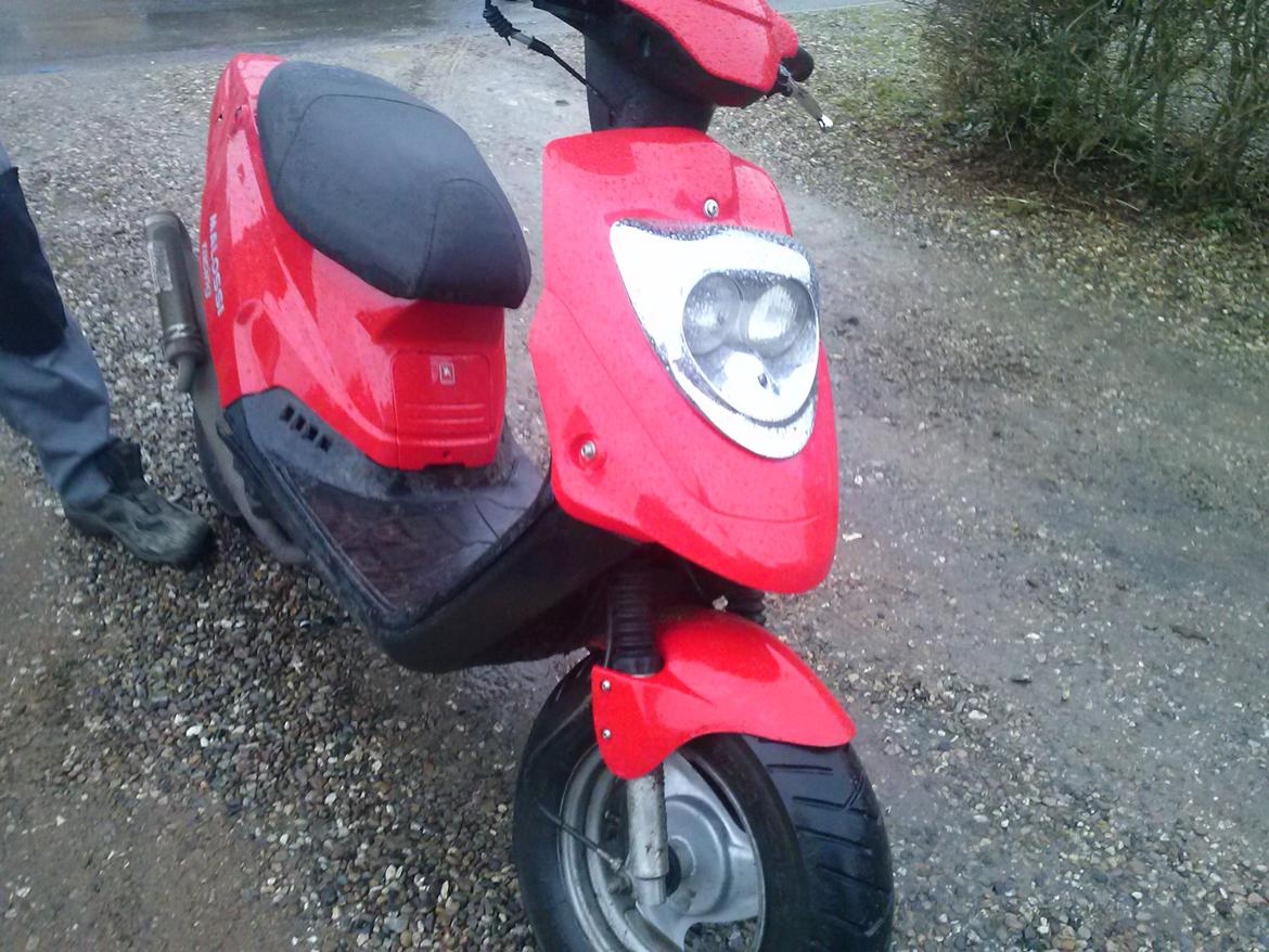 PGO hot 50 billede 4