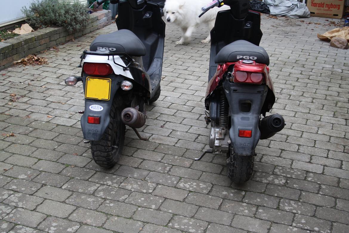 PGO Hot50 black and white billede 8