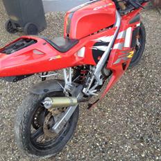 Derbi gpr 50
