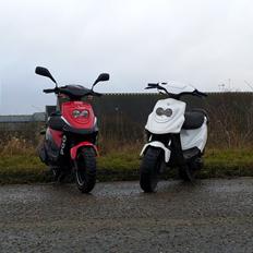 PGO Hot 50 Banditten