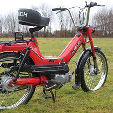 Puch Maxi KL