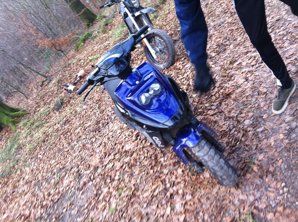 PGO Hot 50 - Før billede 4