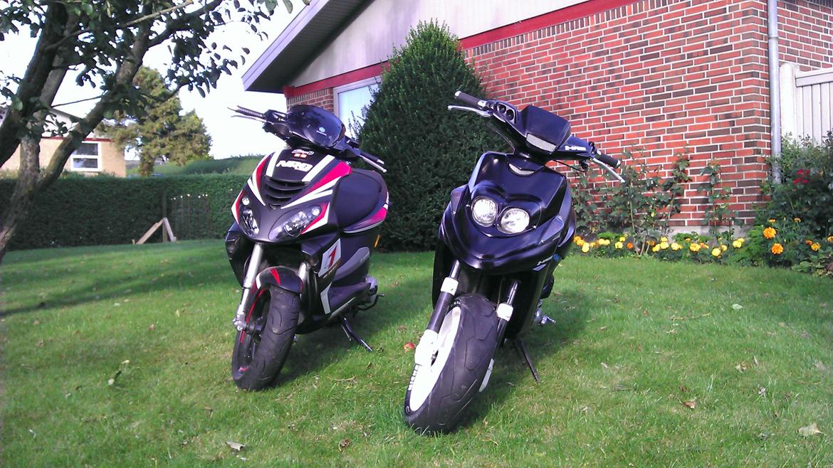 Piaggio NRG Power DT billede 14