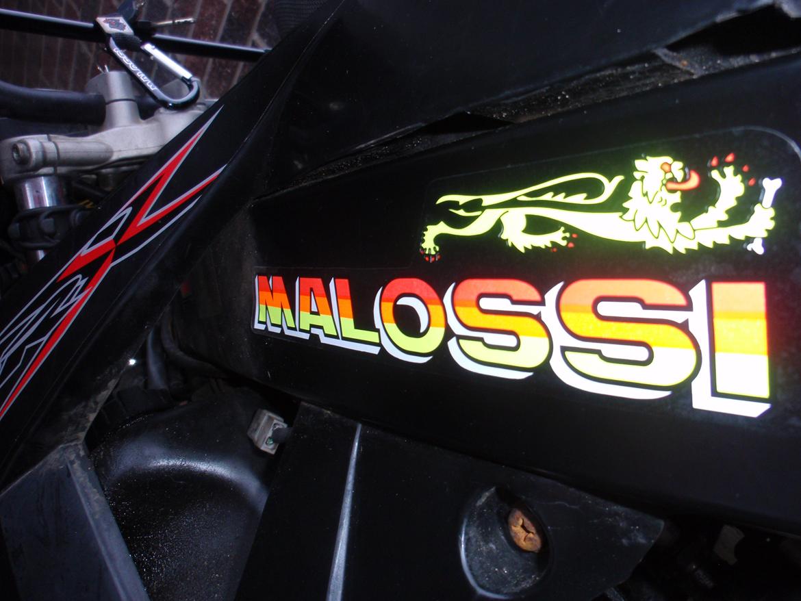 Rieju Rrx LC DD billede 14