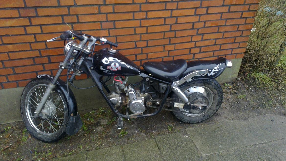 Regal Raptor *Ruth* billede 1