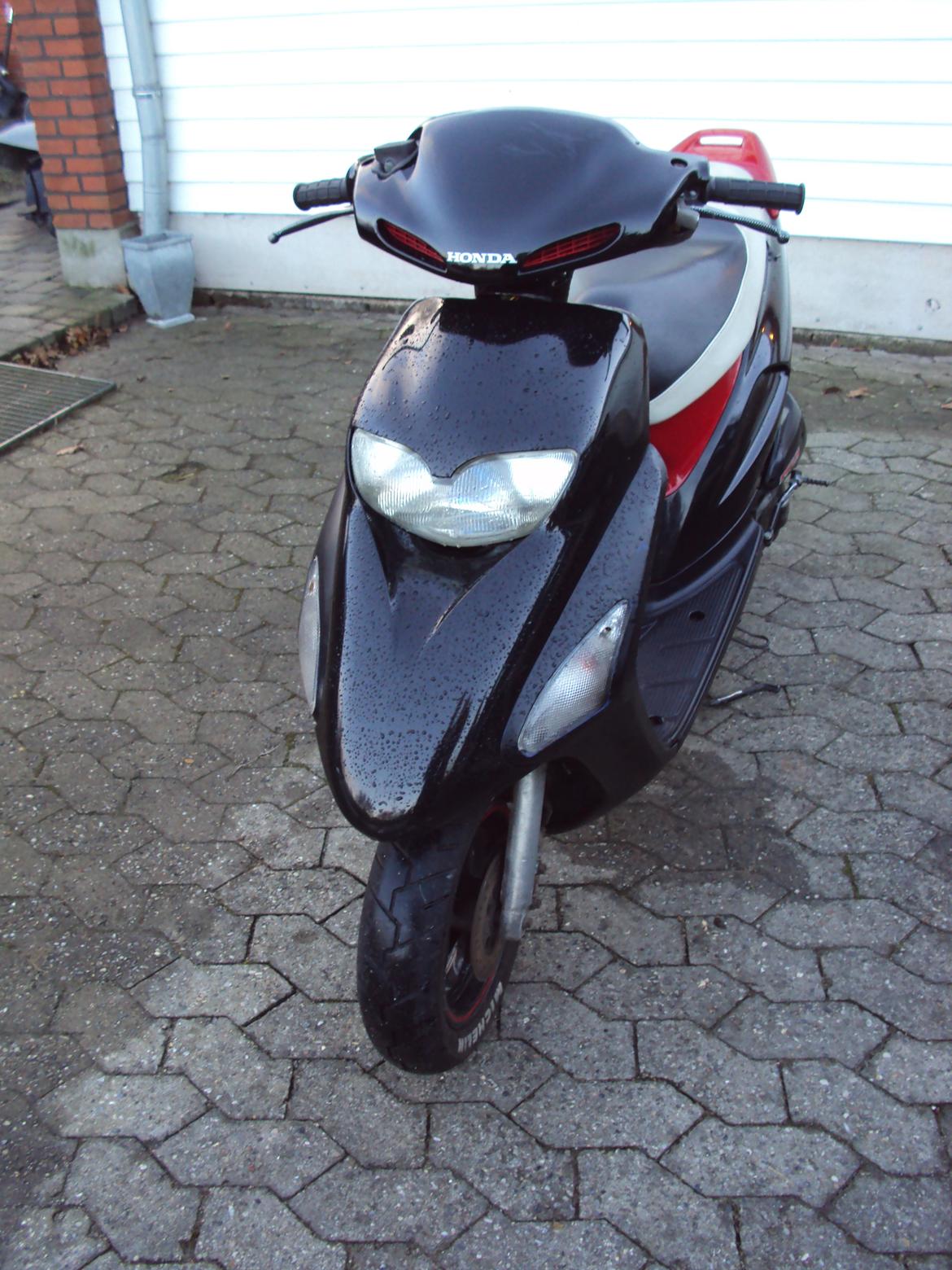 Honda Sfx - STD billede 9