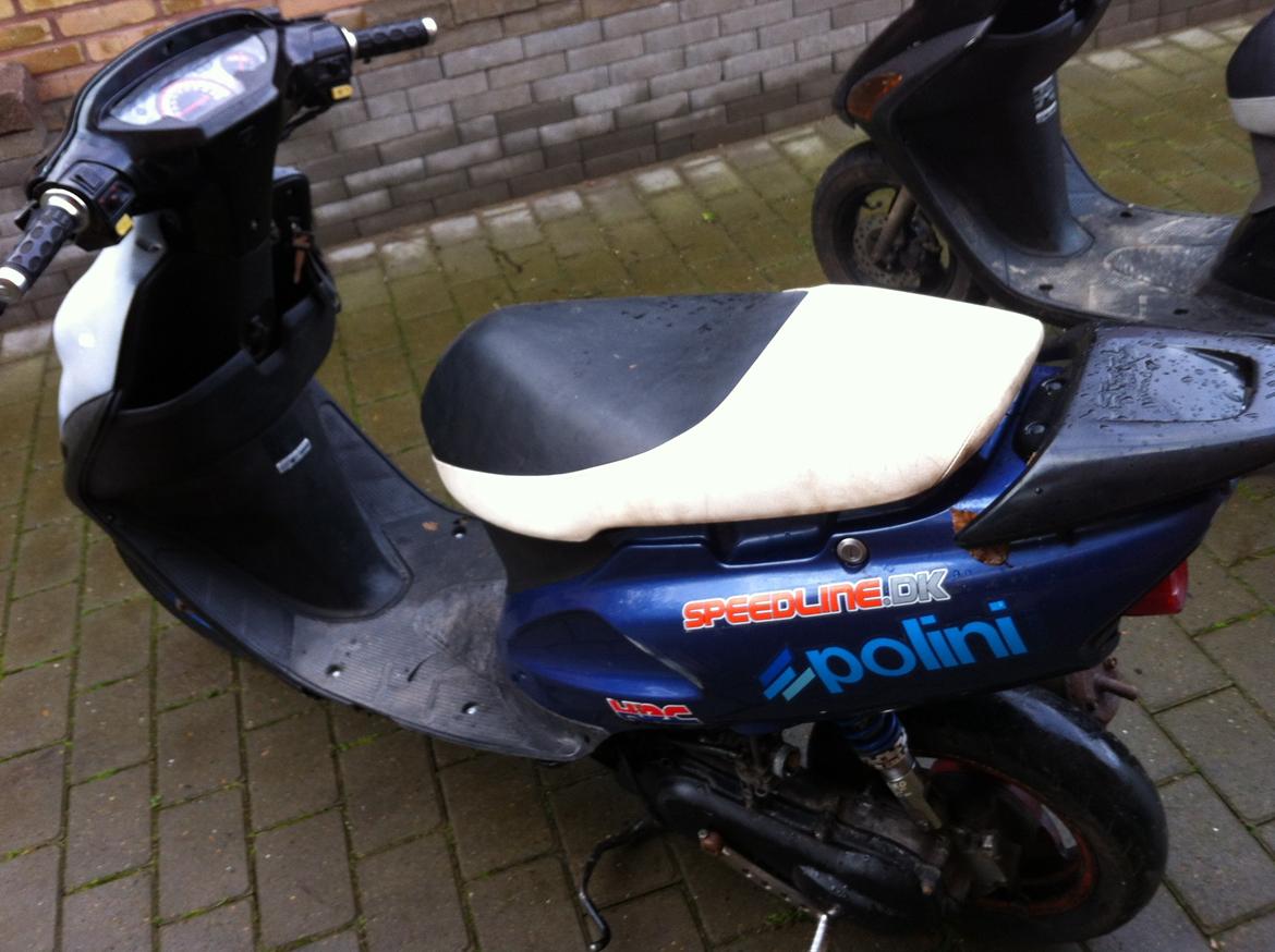 Honda sfx billede 4