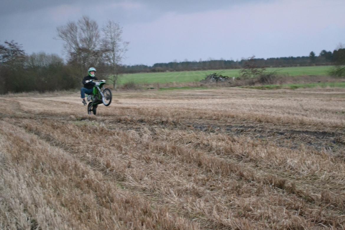 Kawasaki Høj billede 7