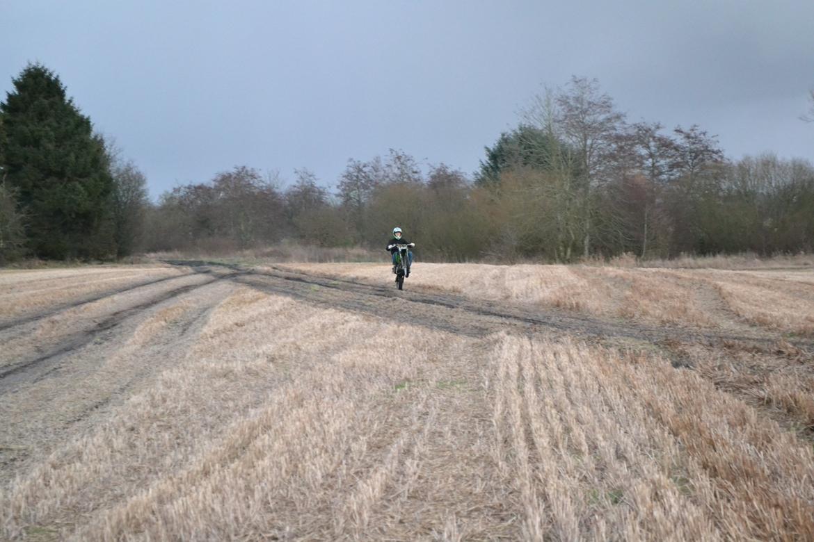 Kawasaki Høj billede 8