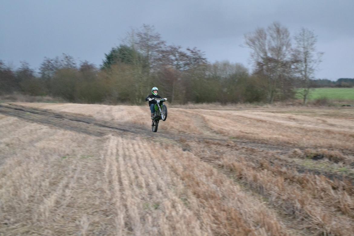 Kawasaki Høj billede 9