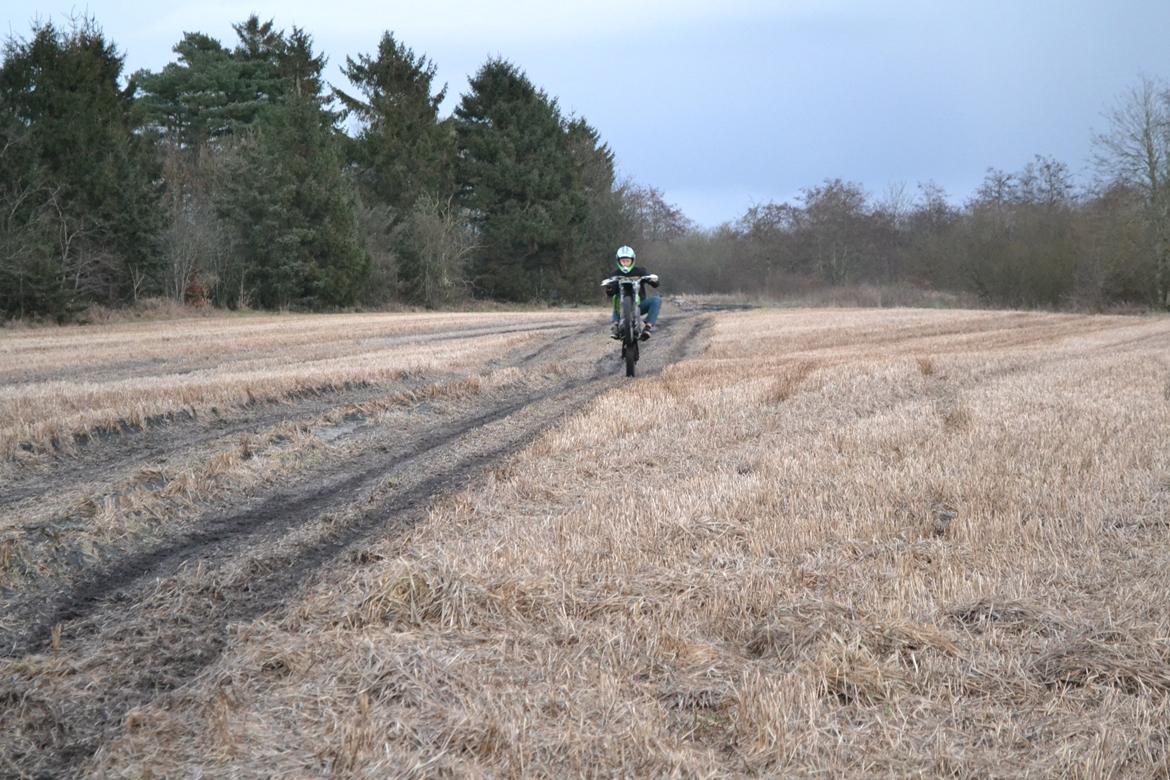 Kawasaki Høj billede 10