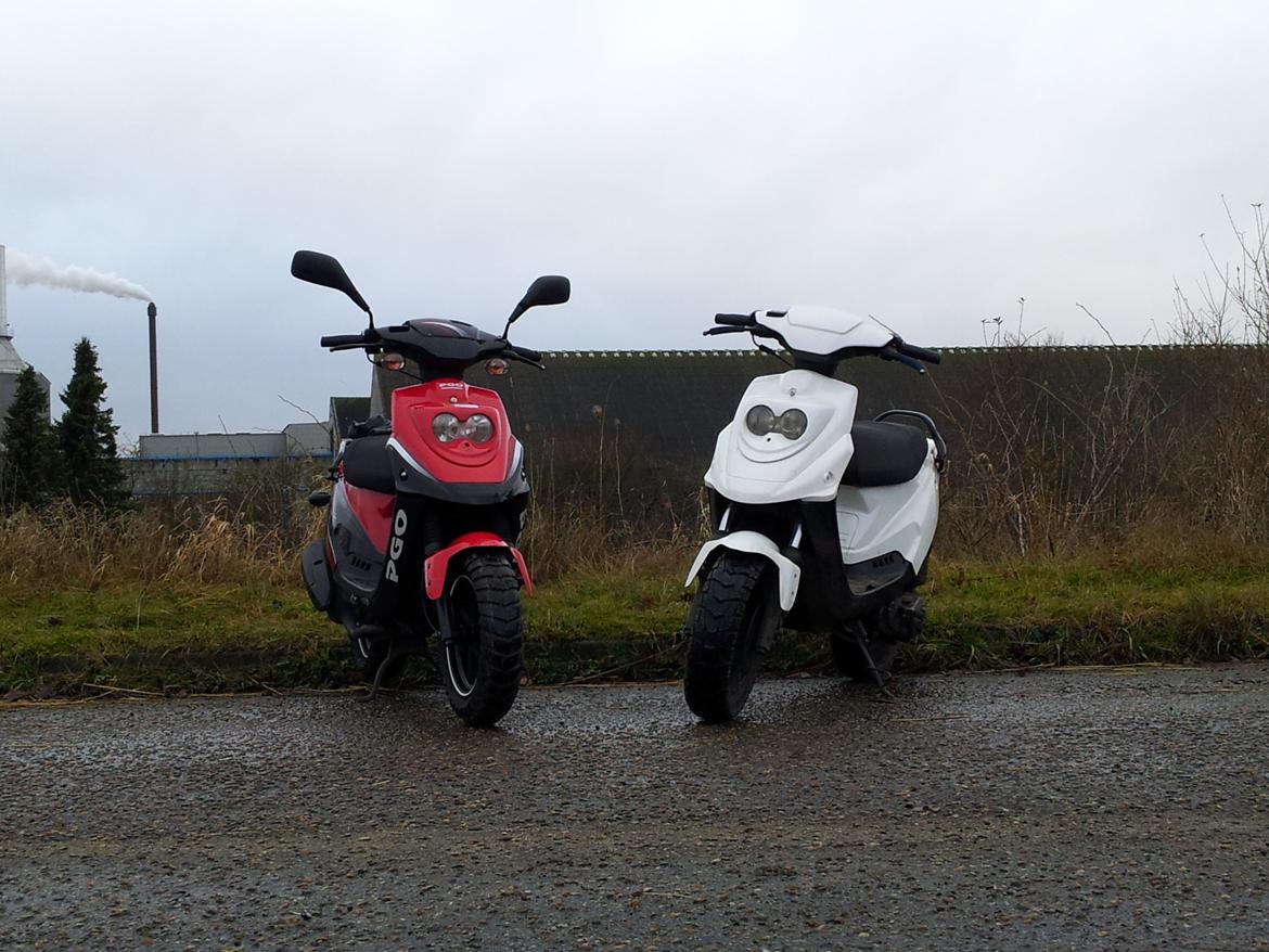 PGO Hot 50 Banditten billede 1