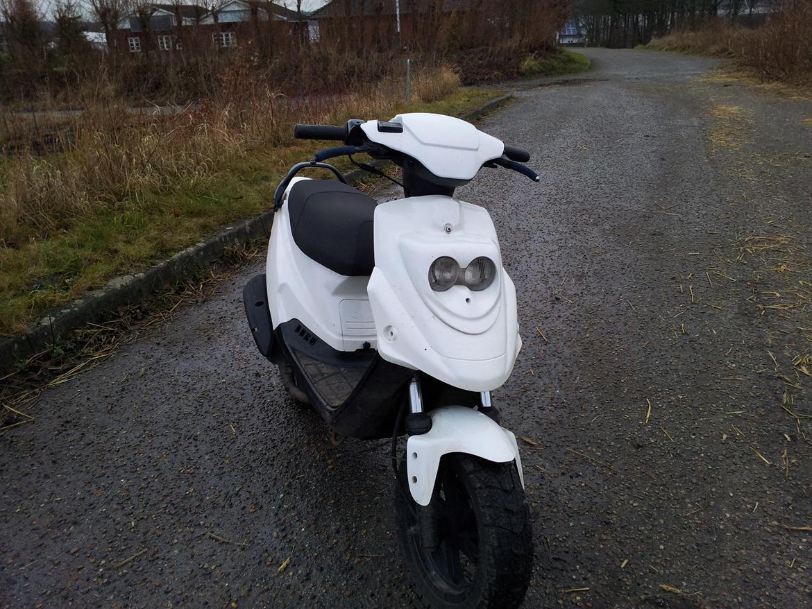 PGO Hot 50 Banditten billede 3