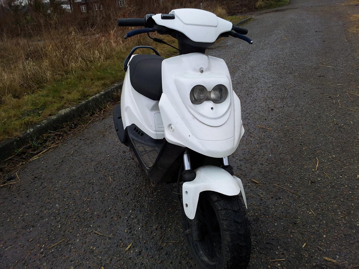 PGO Hot 50 Banditten billede 8