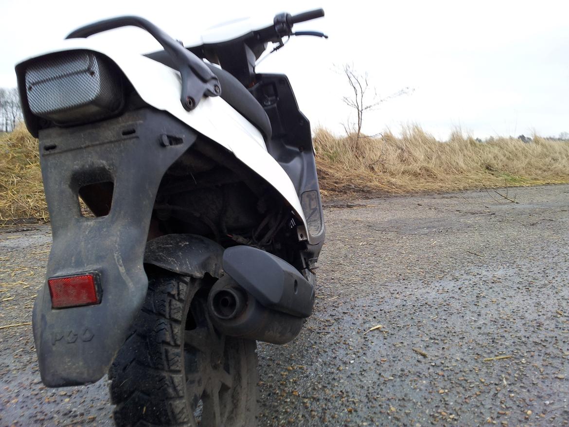 PGO Hot 50 Banditten billede 12