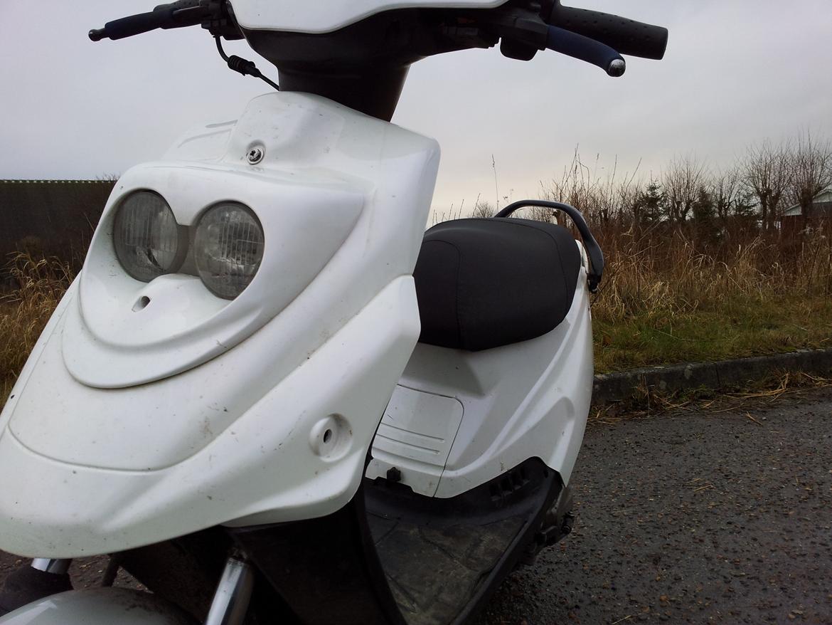 PGO Hot 50 Banditten billede 11