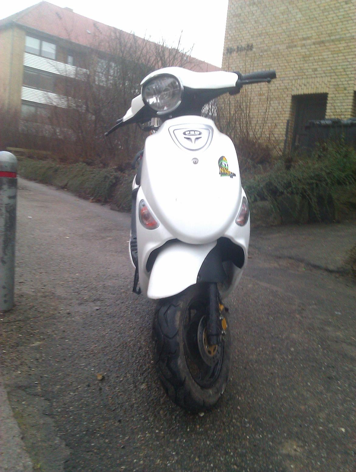 PGO New ligero billede 1