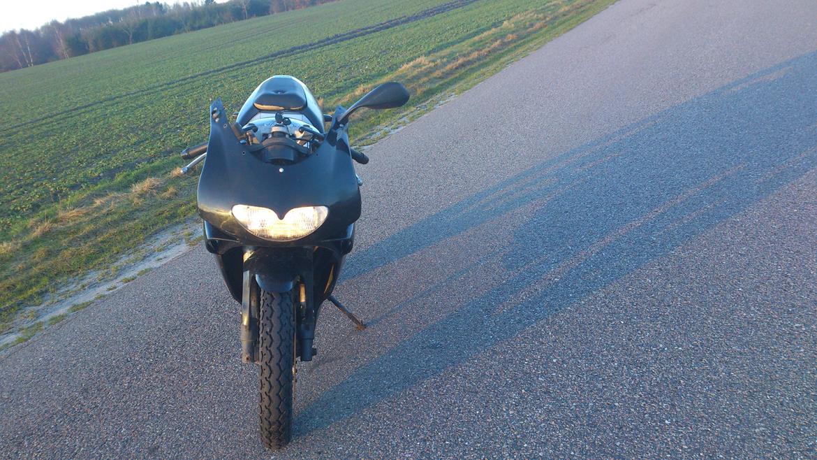 Aprilia RS 50 billede 2