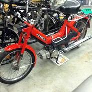 Puch maxi E50