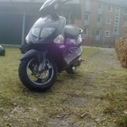 PGO DR BIG (Tøzen) (Under opbygning)