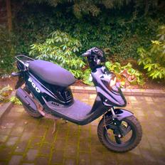 PGO Hot50 ( Hotte Isabella ) Totalskadet