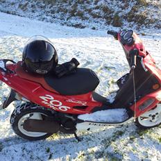 Peugeot Speedfight 2 WRC 206