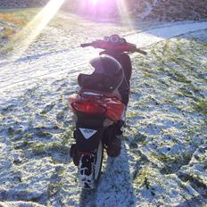 Peugeot Speedfight 2 WRC 206