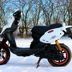 PGO PMX PMMS No Fear ( SOLGT )