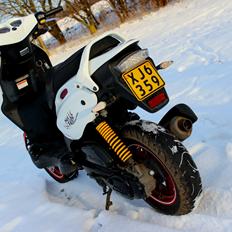 PGO PMX PMMS No Fear ( SOLGT )