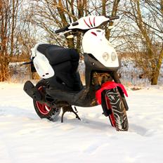 PGO PMX PMMS No Fear ( SOLGT )