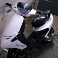 Peugeot Zenith LC DD