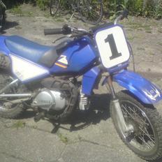 MiniBike Yamoto PY80