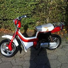 Suzuki Fjederbabs (fz50)