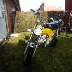 Zhenhua "Honda" Dax ZH-50