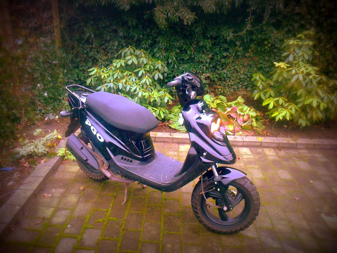 PGO Hot50 ( Hotte Isabella ) Totalskadet billede 2