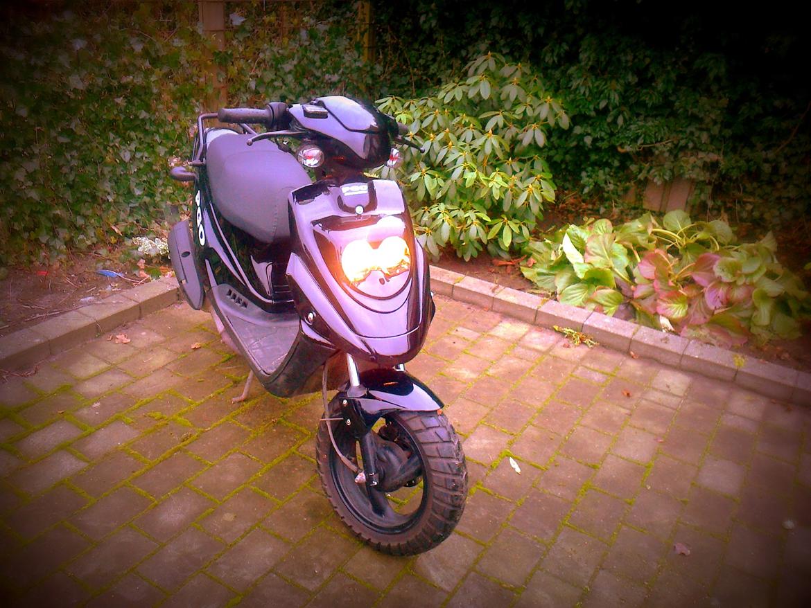 PGO Hot50 ( Hotte Isabella ) Totalskadet billede 3