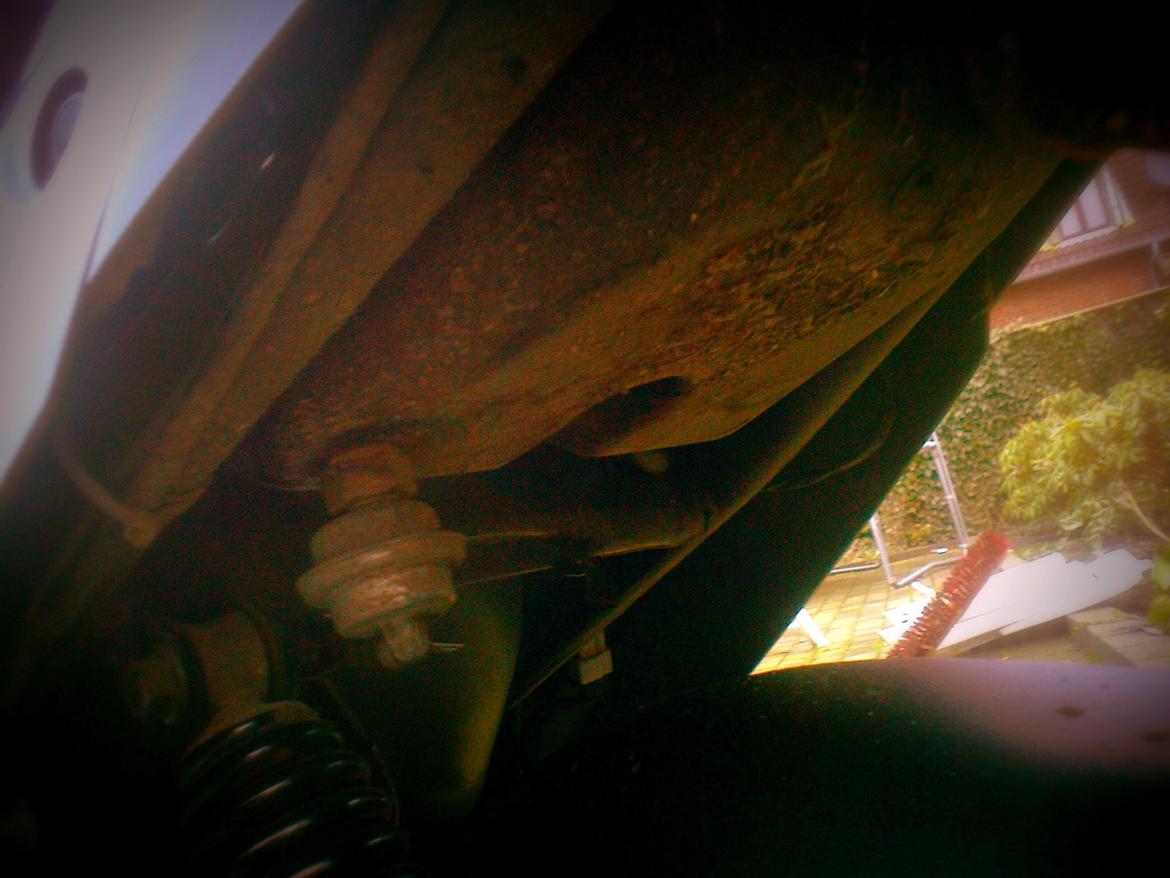 PGO Hot50 ( Hotte Isabella ) Totalskadet billede 8