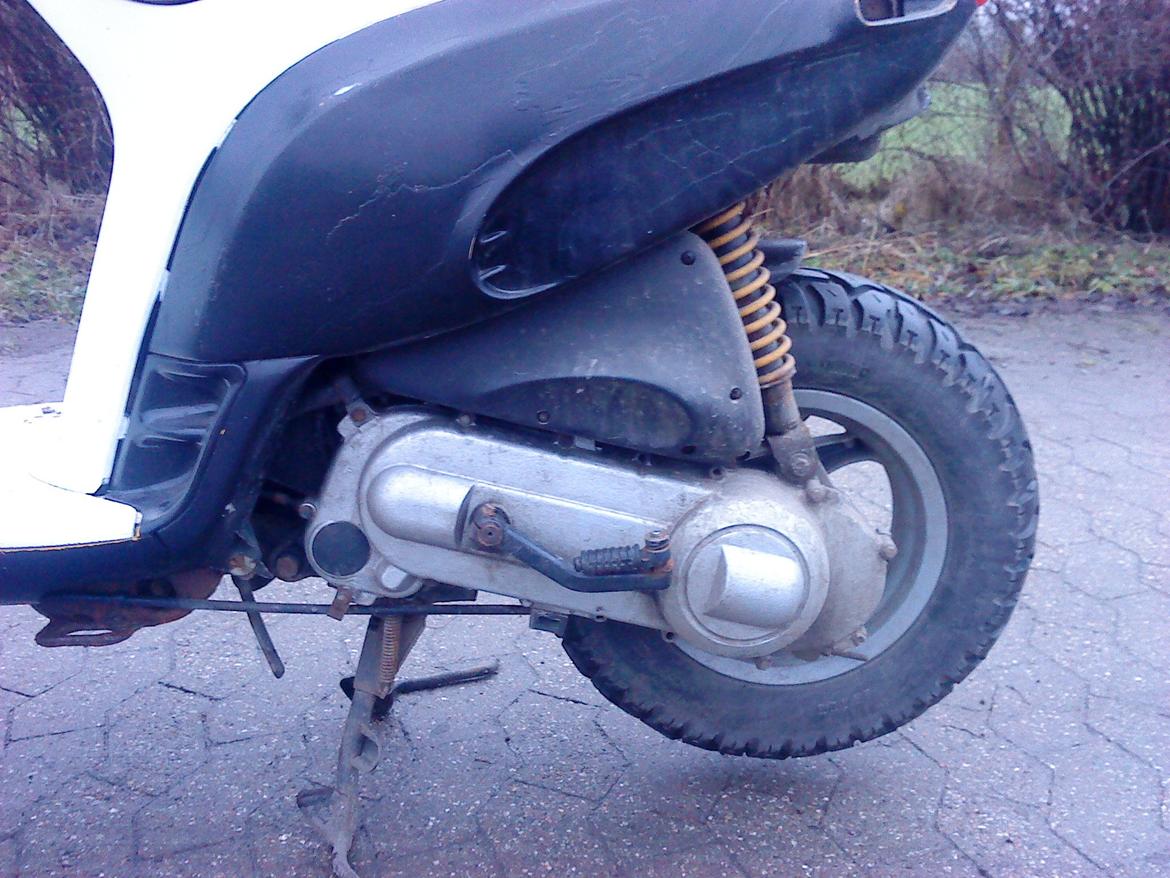 Piaggio Typhoon (BYTTET) billede 7