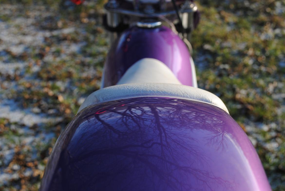 Suzuki Street Magic AC billede 3