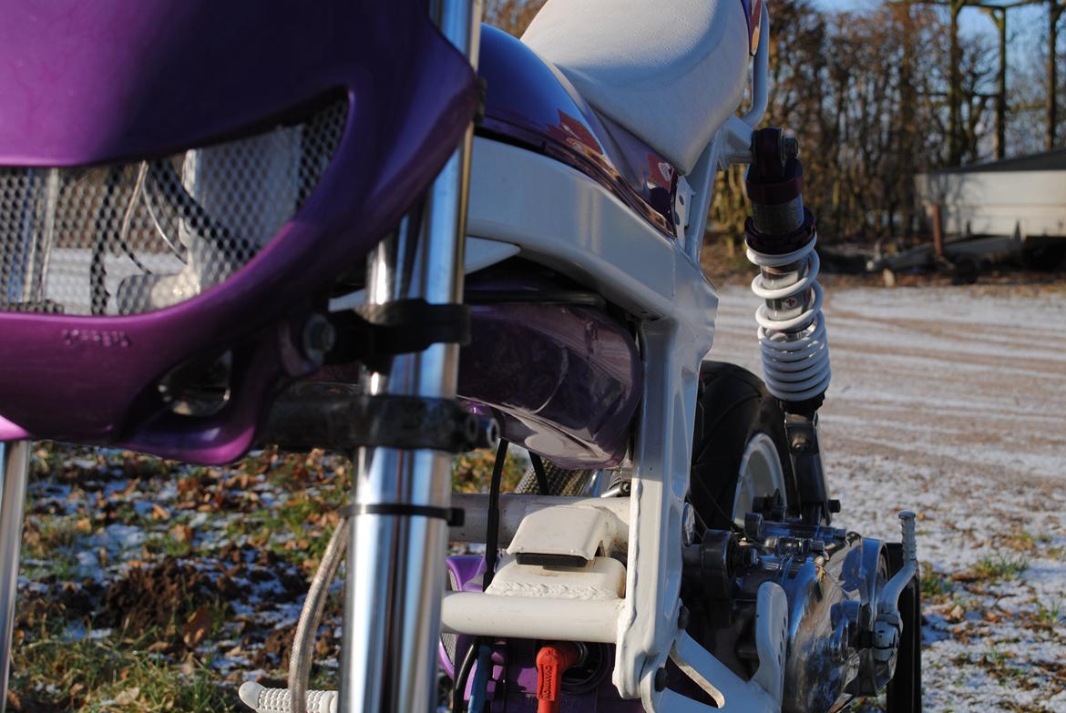 Suzuki Street Magic AC billede 5