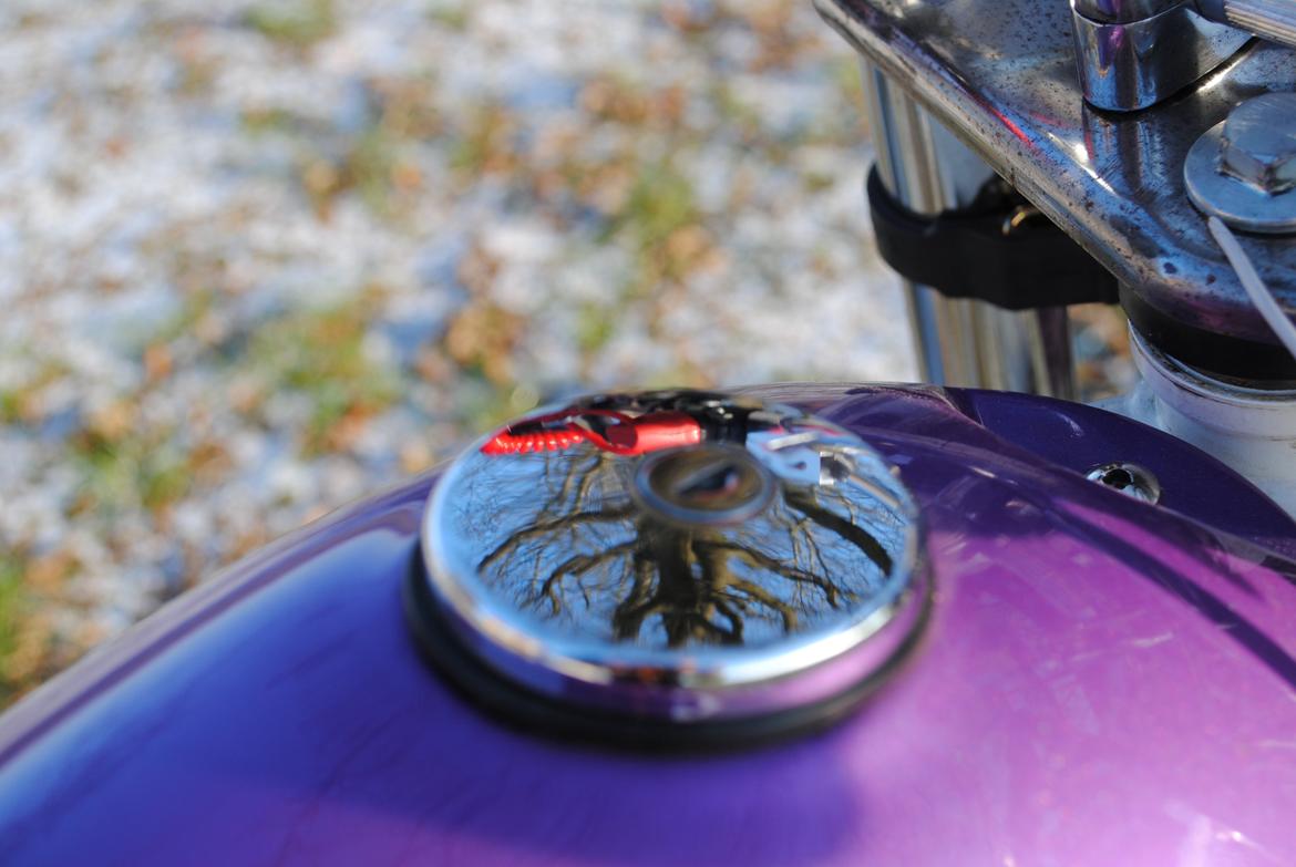 Suzuki Street Magic AC billede 12