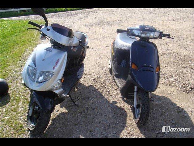 PGO dr. big billede 13